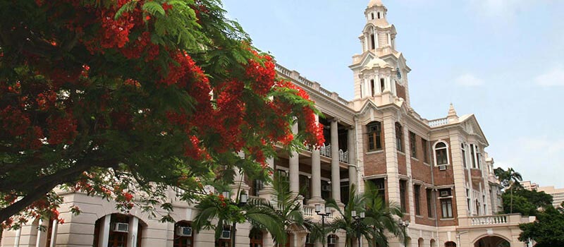 university-hong-kong university hong kong