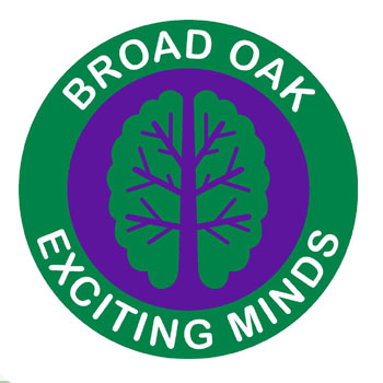 Broad Oak Primary School