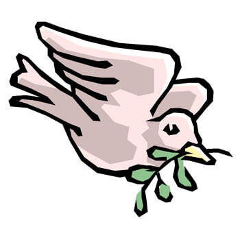 Dovecot Primary School