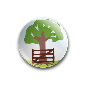 The Meadows Primary School