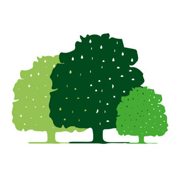 Parklands Primary School