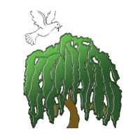 Willowtown Community Primary School