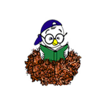 The English Bilingual Nursery