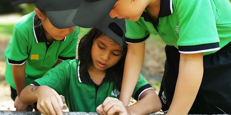 GESS - International School