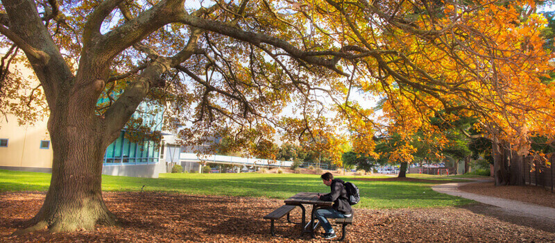 8 Best Student Cities in Australia (2018)