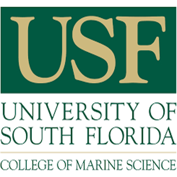 University of South Florida, St Petersburg