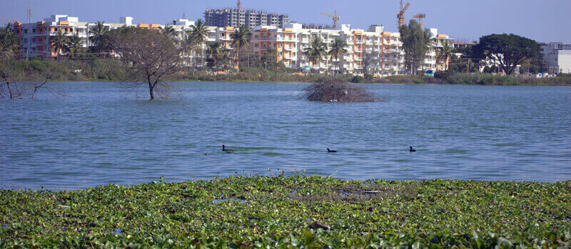 Best Student Cities in India (2020)