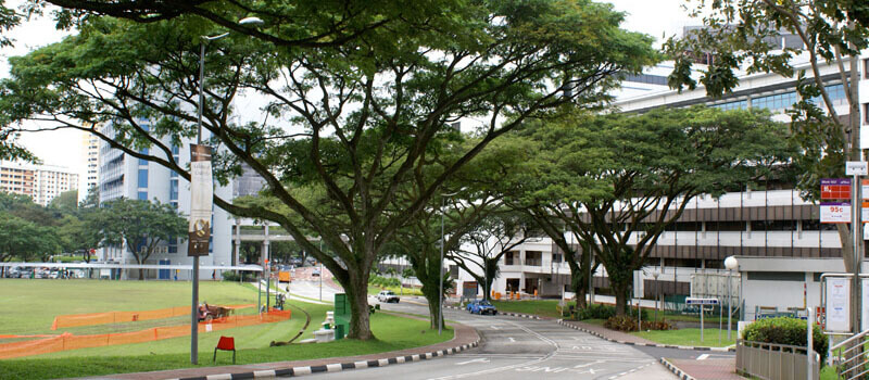 Best Student Cities in Singapore (2020) Best Student Cities in Singapore (2020)