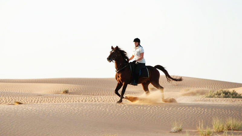 Desert Horse Riding