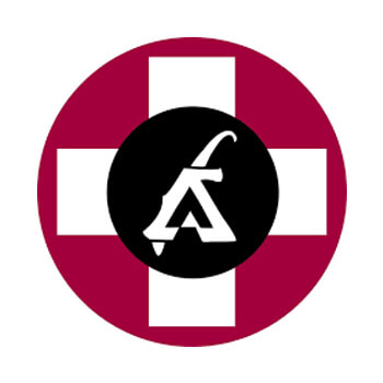 Leysin American School