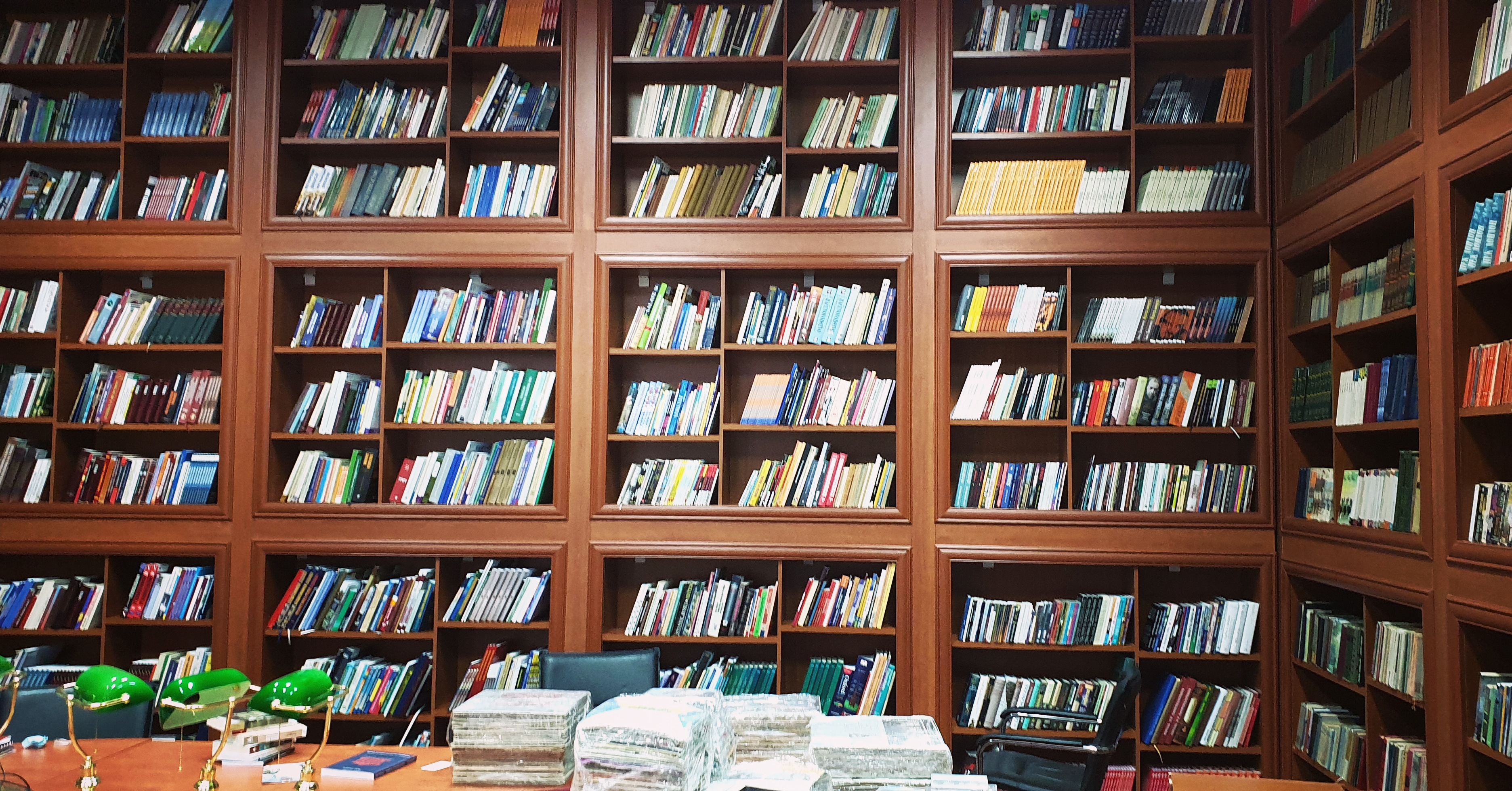 International Slavic Univerity 