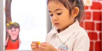 Little Diamond Nursery Al Raffa