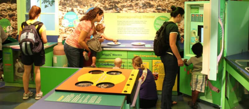 Adore the Natural World at the Peggy Notebaert Nature Museum