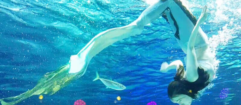 Watch a Mermaid Show at the Hanwha 63 Aquarium