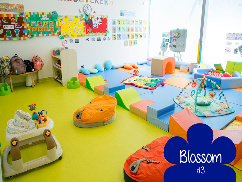 Blossom Nurseries Dubai (Photo Gallery)