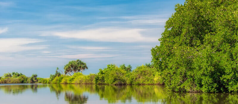 5 Visa-Free Destinations for UAE Residents