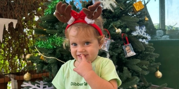 Dibber The Sustainable City Nursery