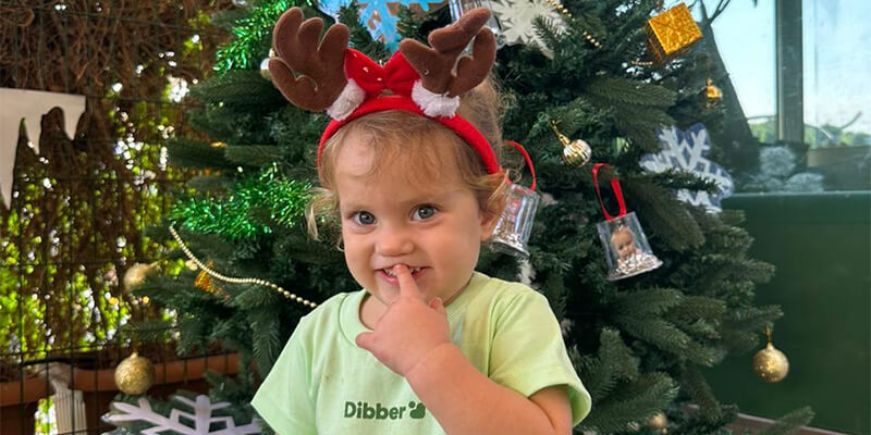 Dibber The Sustainable City Nursery