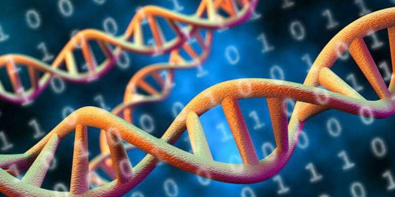 Molecular Evolution (Bioinformatics IV)