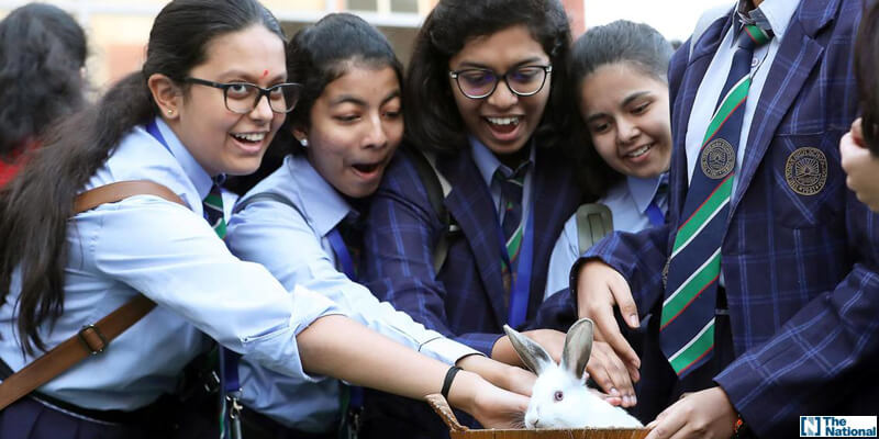 UAE schools turn to therapy dogs to pet away exam stress