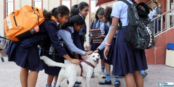 UAE schools turn to therapy dogs to pet away exam stress