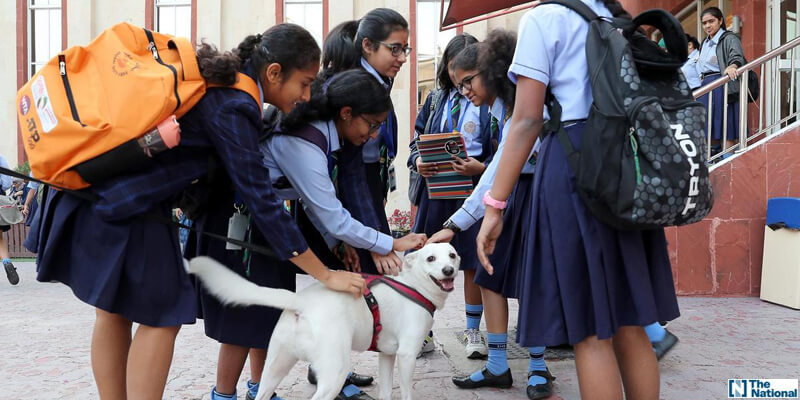 UAE schools turn to therapy dogs to pet away exam stress