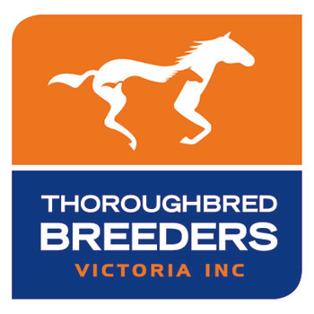 Australian Thoroughbred