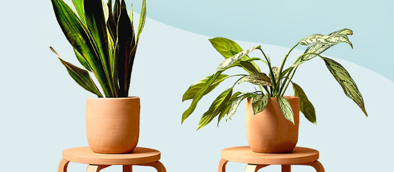 15 Gift Ideas for Teachers