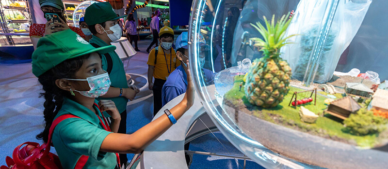Expo School Programme: Free field trips, activities planned for students