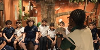 American Gulf School