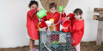 Green Grass Nursery Al Manara