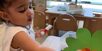 Orange Seeds Nursery