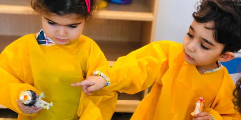 Orange Seeds Nursery