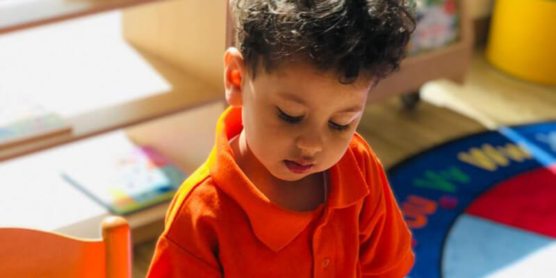 Orange Seeds Nursery