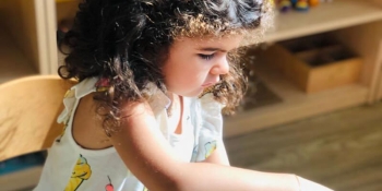 Orange Seeds Nursery