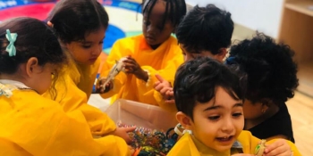 Orange Seeds Nursery