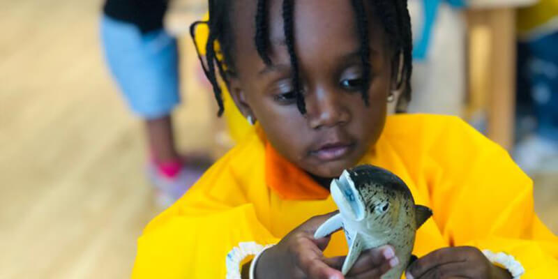 Orange Seeds Nursery