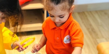 Orange Seeds Nursery