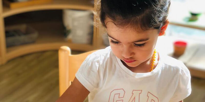 Orange Seeds Nursery