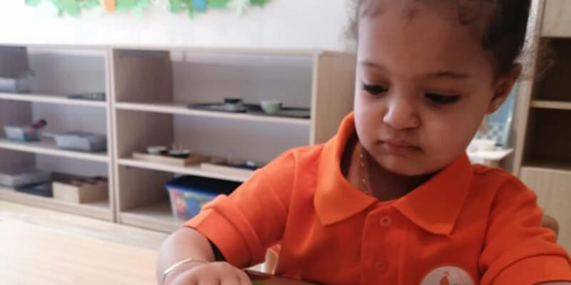 Orange Seeds Nursery