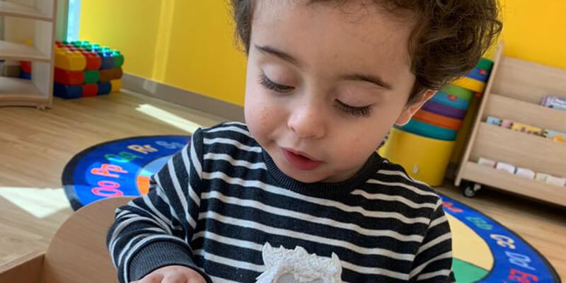 Orange Seeds Nursery