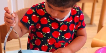 Orange Seeds Nursery