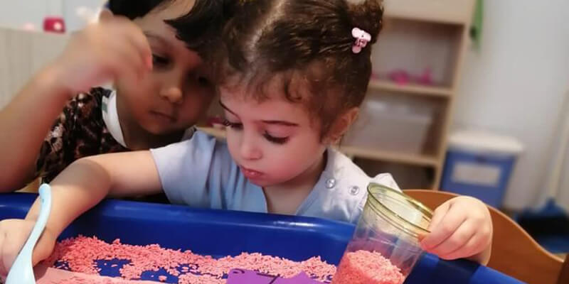 Orange Seeds Nursery