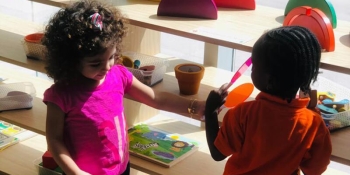 Orange Seeds Nursery