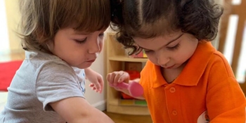 Orange Seeds Nursery