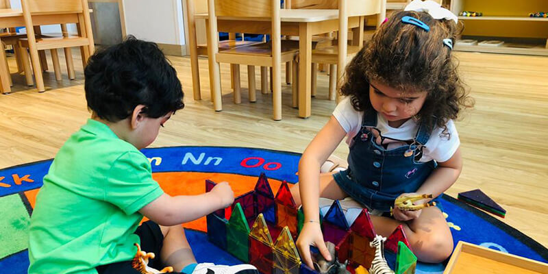 Orange Seeds Nursery