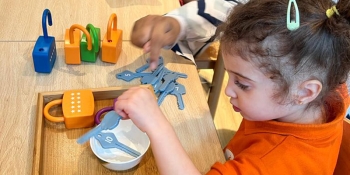 Orange Seeds Nursery