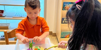 Orange Seeds Nursery