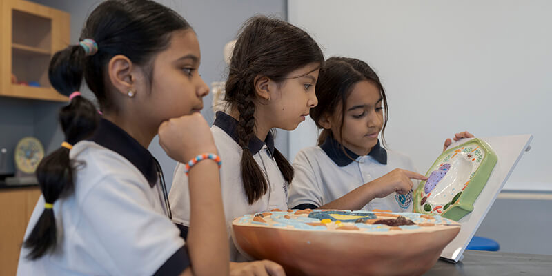 Modern Global International Schools, Digital City Campus