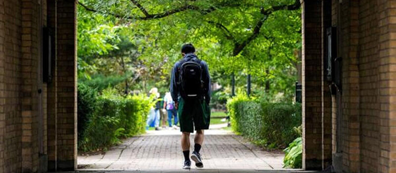 UAE: Some students face visa delays, rejections as Canada caps study permits